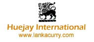 Huejay International
