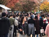 Afternoon Tealand event in NAGOYA