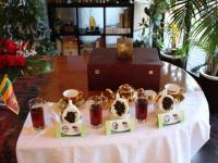 Black Tea Promotion Program